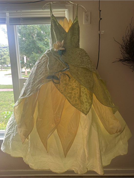 Disney Other - Green and Yellow Flower Princess Tiana women Costume - Brand: